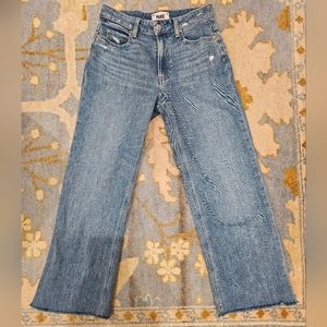 Paige Leenah Ankle Jeans in Capulet Ditressed Size 24